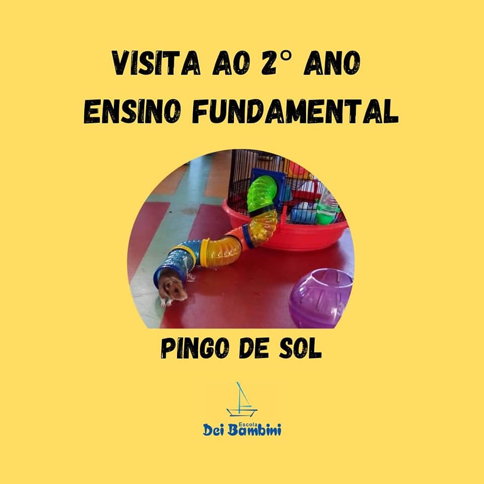 Pingo de Sol - Visita a turma do 2° ano EF